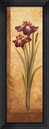 Framed Grandiflora I Print