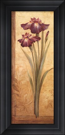 Framed Grandiflora I - mini Print