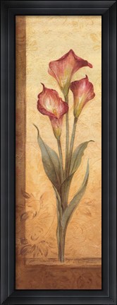 Framed Grandiflora III Print