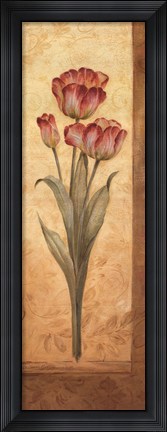 Framed Grandiflora IV Print