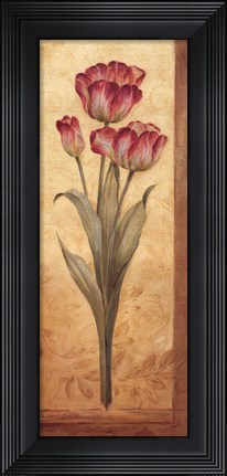 Framed Grandiflora IV - mini Print