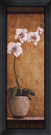 Framed Hanna's Orchids I Print