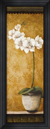 Framed Hanna's Orchids II Print
