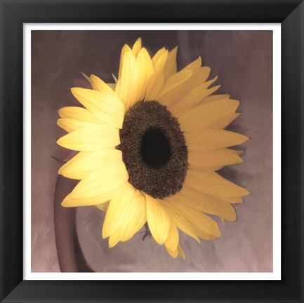 Framed Sunflower Print