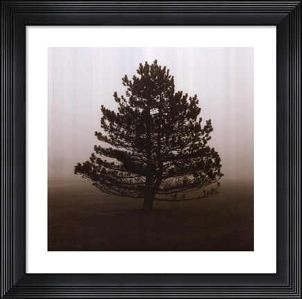 Framed Reflection Print