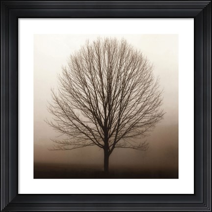 Framed Stillness Print