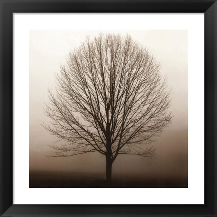 Framed Stillness Print