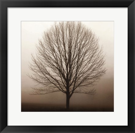 Framed Stillness Print