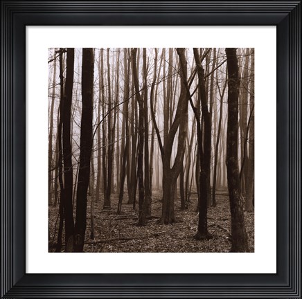 Framed Gathering Print