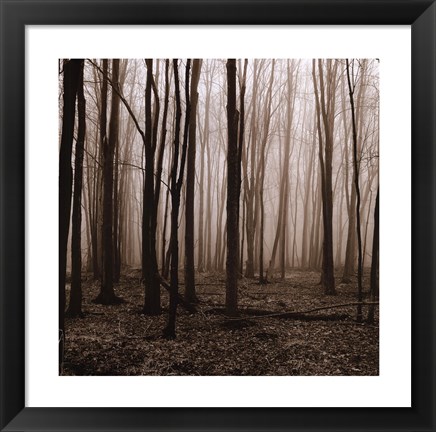 Framed Winter Woods Print