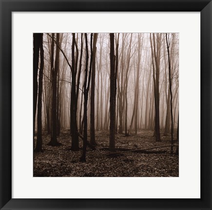 Framed Winter Woods Print