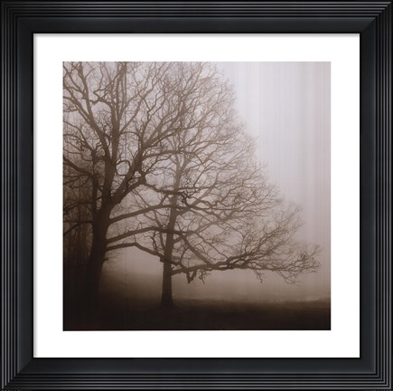 Framed Serenity Print