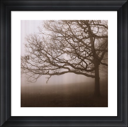 Framed Silence Print