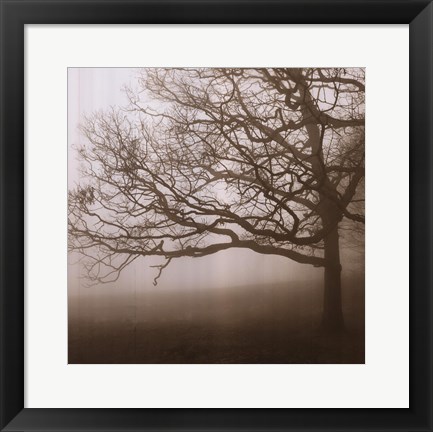 Framed Silence Print