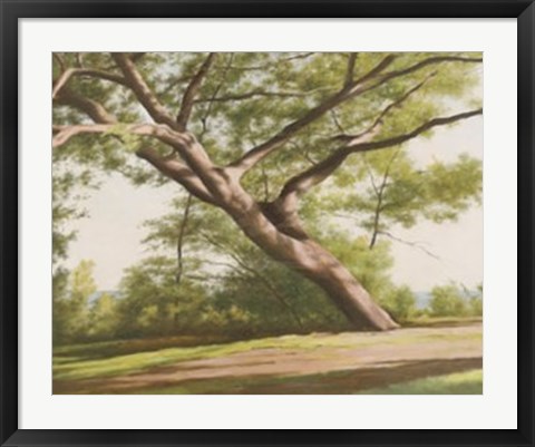 Framed Leaning Tree, 2003 Print