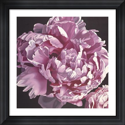 Framed Peony I Print