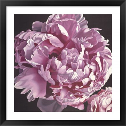 Framed Peony I Print