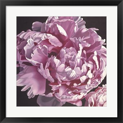 Framed Peony I Print