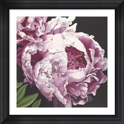 Framed Peony II Print