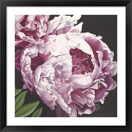 Framed Peony II Print