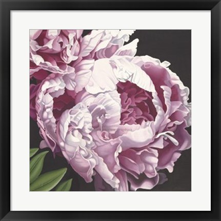 Framed Peony II Print