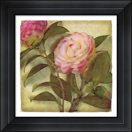Framed Adela Print