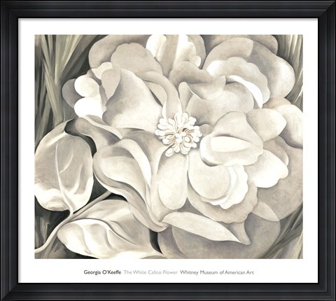 Framed White Calico Flower, 1931 Print