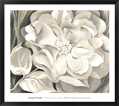 Framed White Calico Flower, 1931 Print