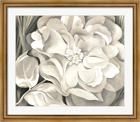 Framed White Calico Flower, 1931 Print