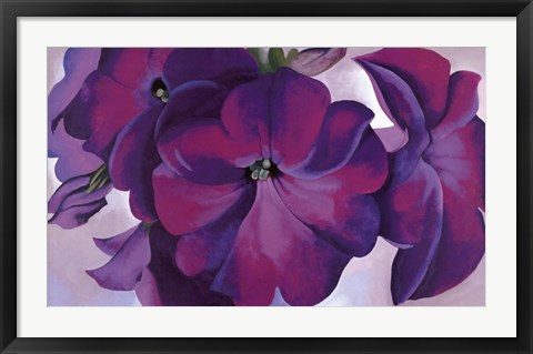 Framed Petunias, 1925 Print