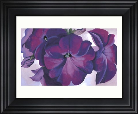 Framed Petunias, 1925 Print