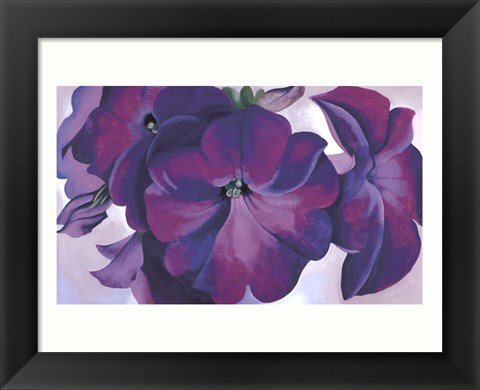 Framed Petunias, 1925 Print