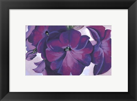 Framed Petunias, 1925 Print