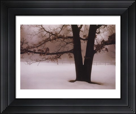 Framed Tranquility Print