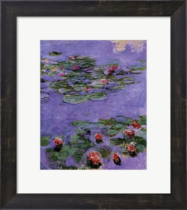 Framed Water Lilies, c. 1914-1917 Print
