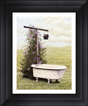 Framed Bird Bath Print