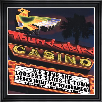 Framed Thunderbird Print