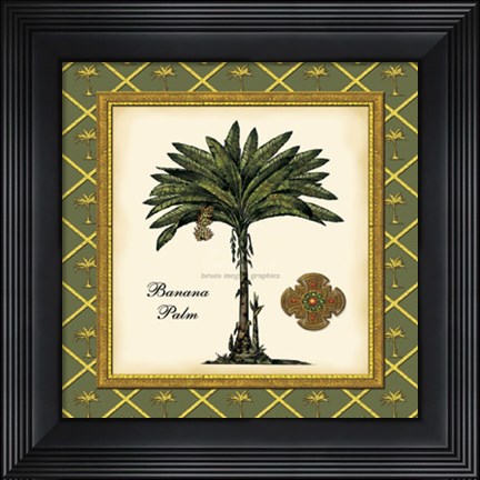 Framed Banana Palm (Green) Print