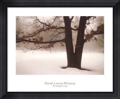 Framed Tranquility Print