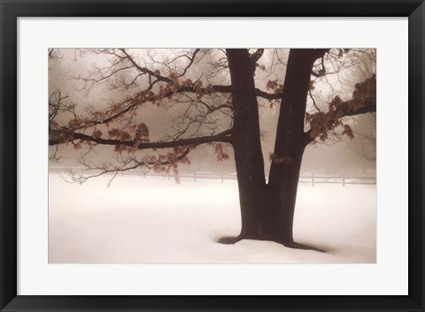 Framed Tranquility Print