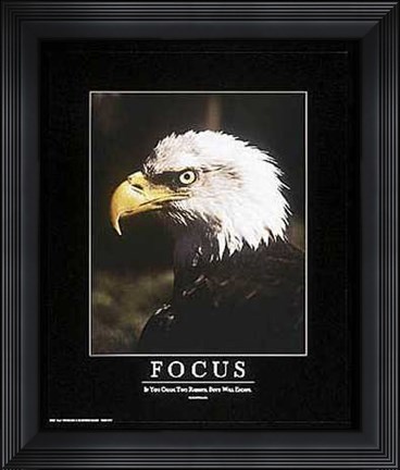 Framed Focus Print