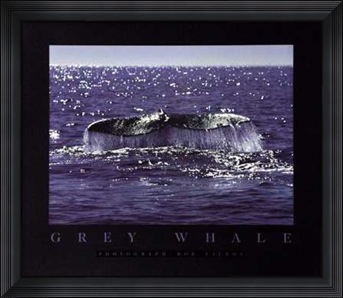 Framed Whale Tale Print