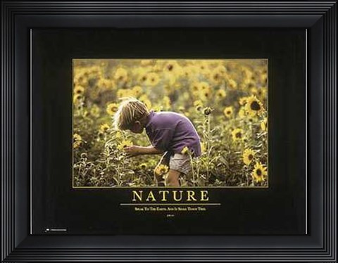 Framed Nature Print