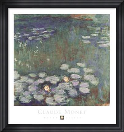 Framed Water Lilies Print