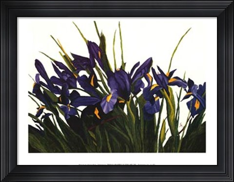Framed Wild Iris Print