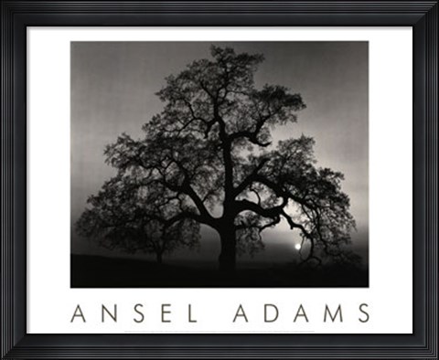 Framed Oak Tree-Sunset City Print