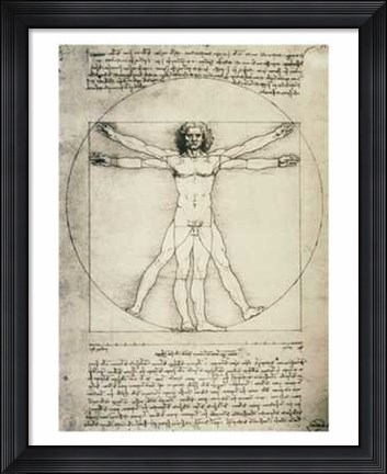 Framed Human Proportions-Vitruvian Man Print