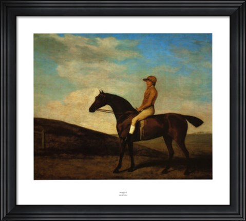 Framed Rosaletta Print