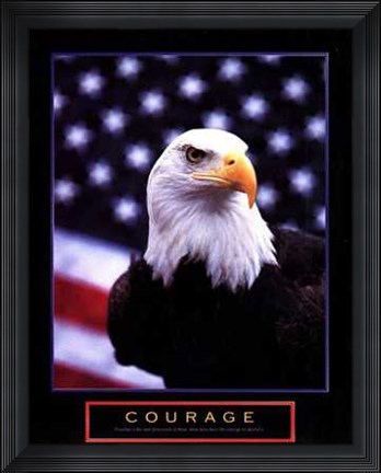 Framed Courage - Eagle Flag Print