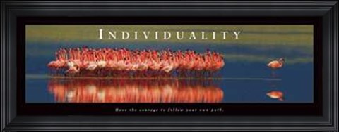 Framed Individuality - Flamingos Print